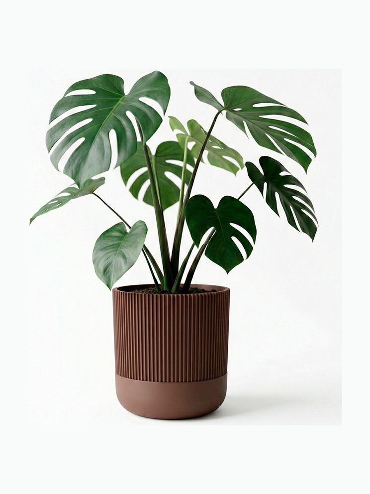 Simiu - GROWLOFT - krukskydd med droppbricka - mocka - 8,2 cm hög