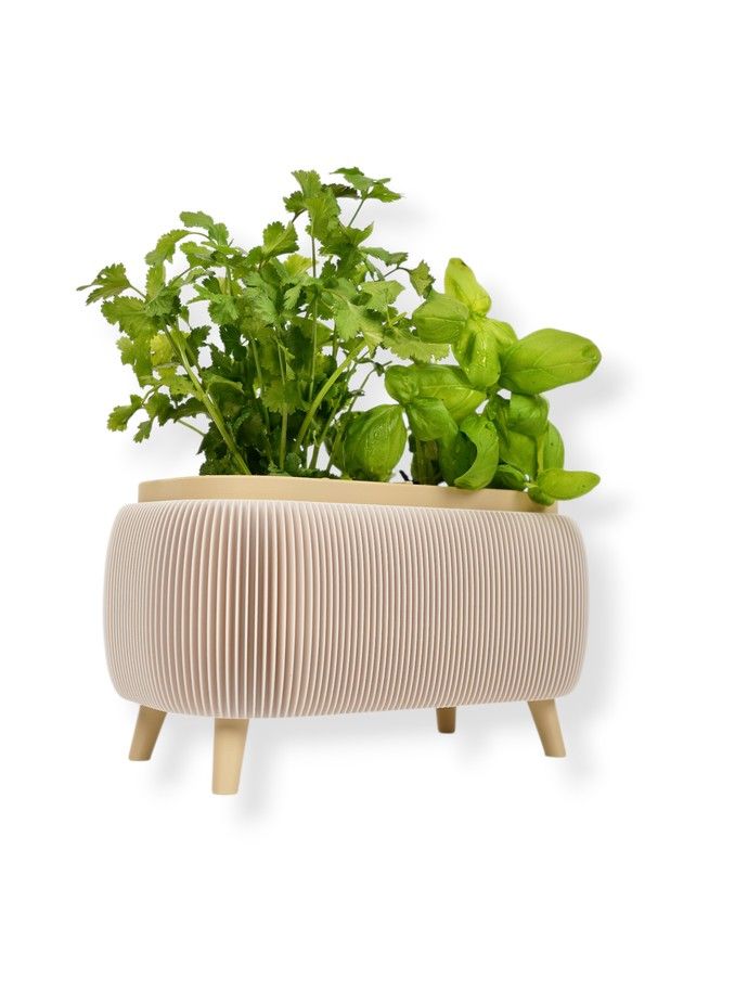 Simiu - Thalor Herbs - Kryddörtkruka - Stor