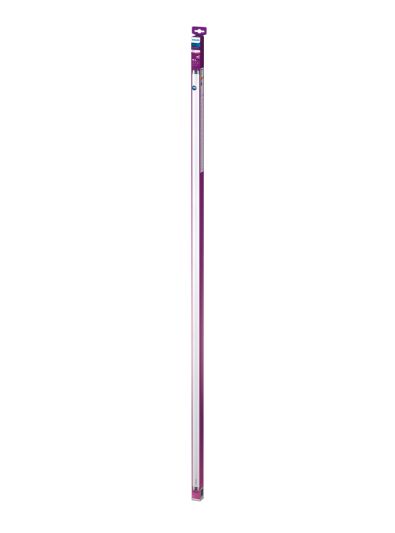 G13 - Philips LED-lysrör - 19,5 W - 150 cm - 2000 lm - 3000 K - T8