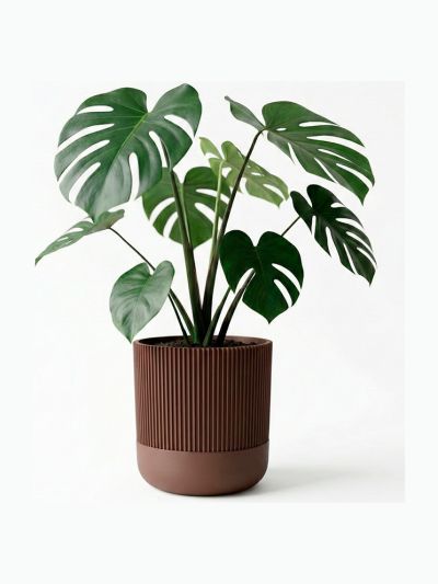 Simiu - GROWLOFT - krukskydd med droppbricka - mocka - 8,2 cm hög